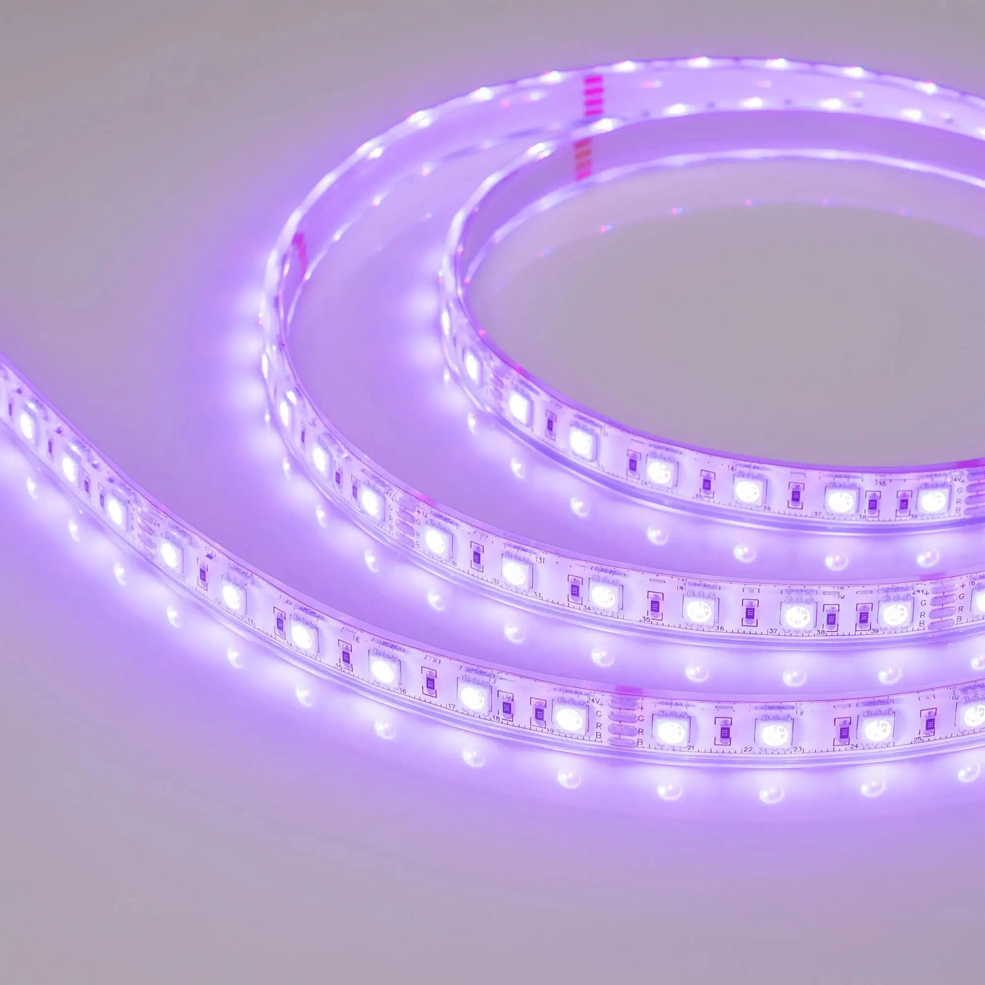 lenta_rt_arlight_029515_1.jpg_product